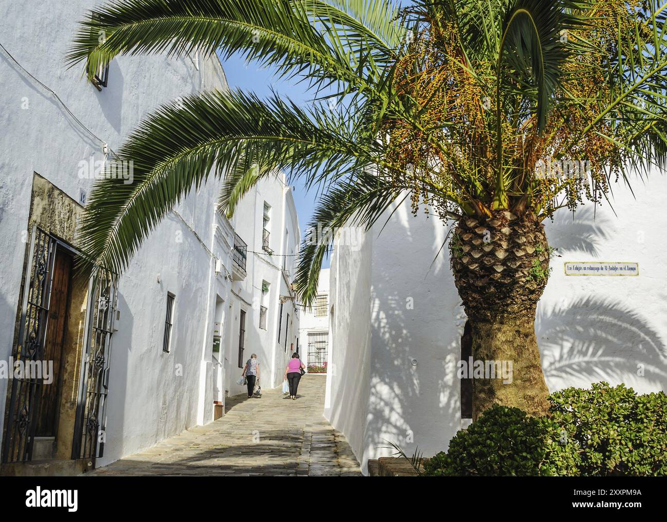 Palme in den Mauern von Vejer de la Frontera Stockfoto