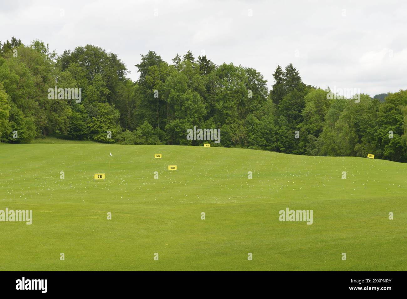 In der Praxis Abschlag auf dem Golfplatz Stockfoto