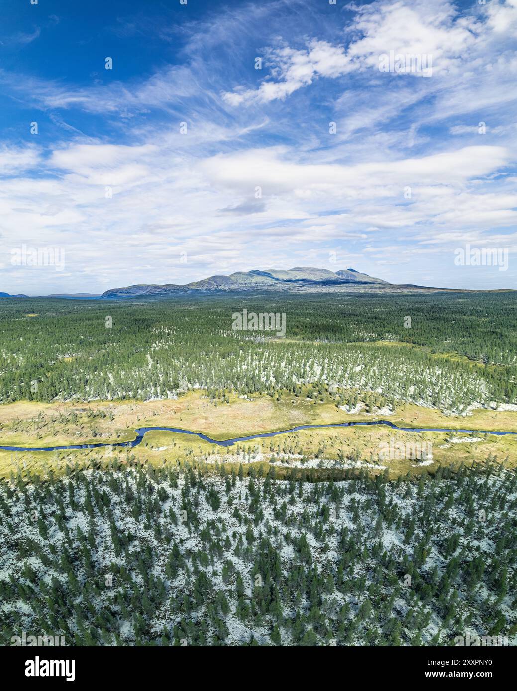 Aus der Vogelperspektive windet sich der Fluss durch einen Wald und den Berg Sølen unter blauem Himmel und verstreuten Wolken in der weiten Landschaft von Rendalen, Norwegen Stockfoto