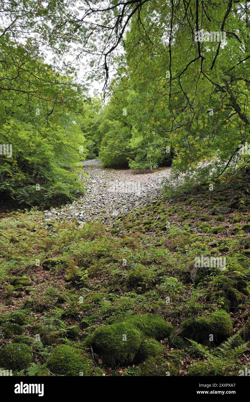 Soederasens Nationalpark in Skane, Schweden im Herbst Stockfoto