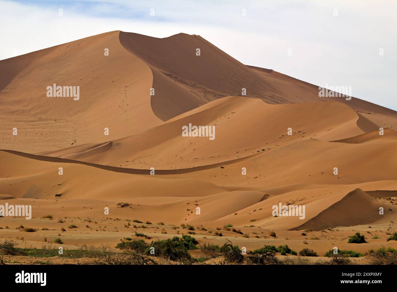 Sanddünen im Namib-Naukluft-Nationalpark in der Nähe von Sossusvlei Stockfoto