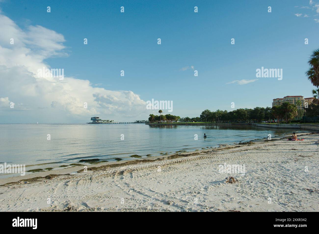 Weitblick nach Süden über Palmen, Ufermauer und Sandstrand St. Petersburg, FL. Richtung Tampa Bay und Pier hinten. Teilweise sonniger Tag mit Blau Stockfoto