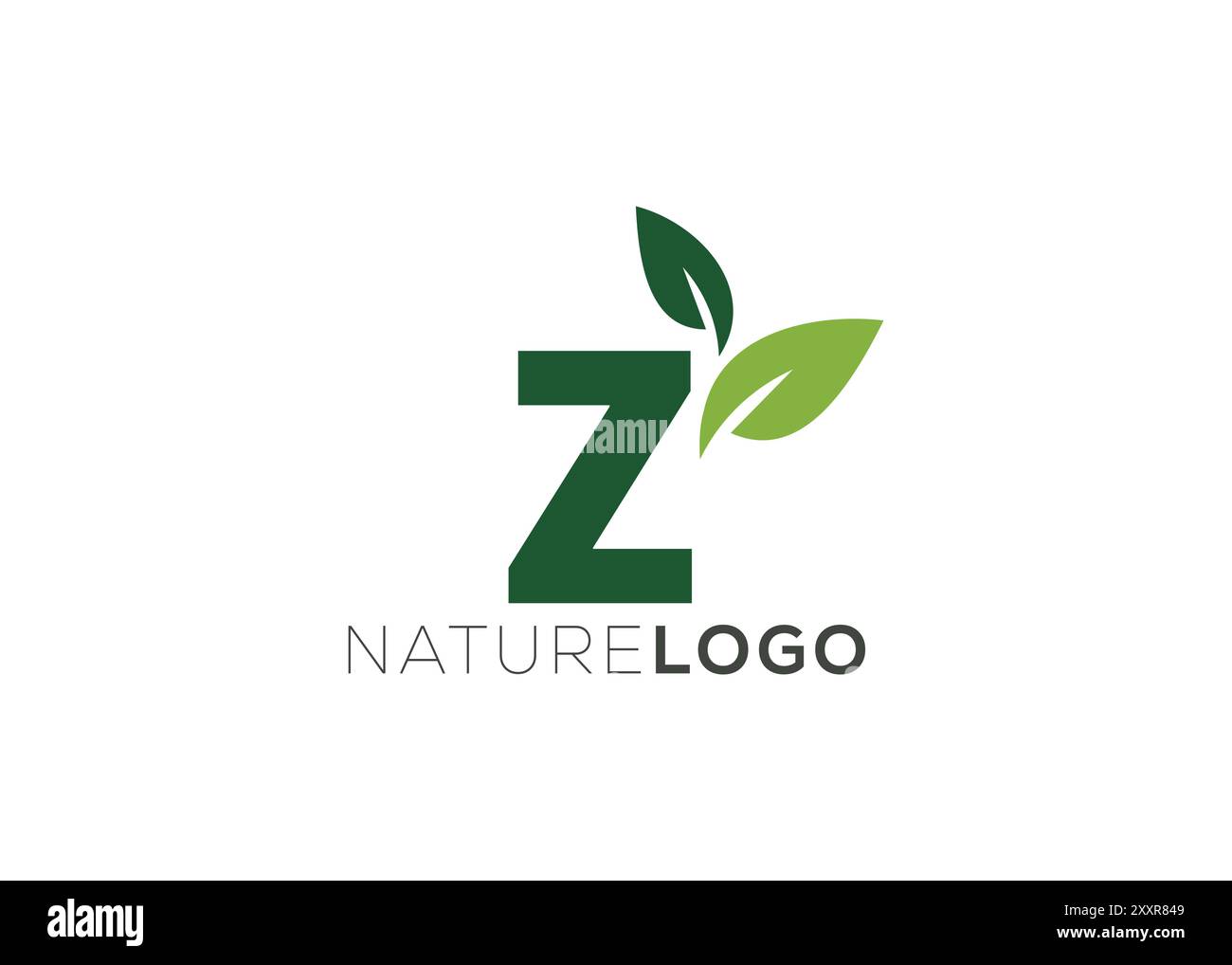 Letter Z Grüne Vorlage mit abstraktem Blatt-Logo Stock Vektor