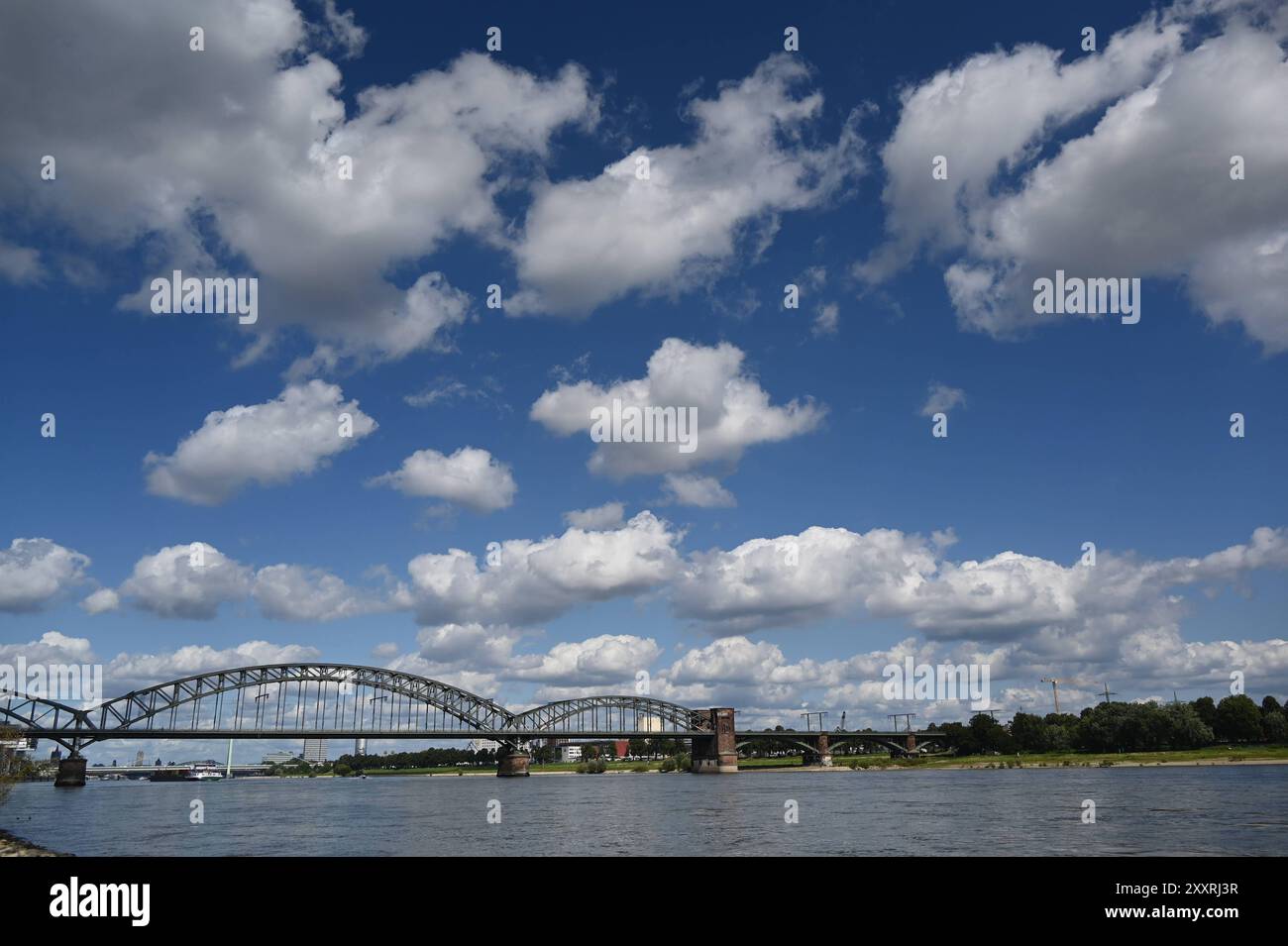 Kölner Südbrücke über den Rhein. Eine Eisenbahnbrücke, sie wird überwiegend für den Güterverkehr in Anspruch genommen. *** Kölner Südbrücke über den Rhein Eine Eisenbahnbrücke, die hauptsächlich für den Güterverkehr genutzt wird Stockfoto