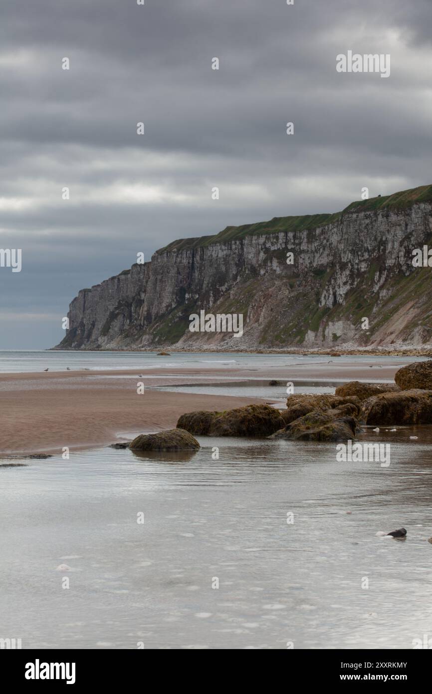 Blick auf die Bempton Cliffs von Reighton Sands, North Yorkshire Coast, England, Großbritannien Stockfoto