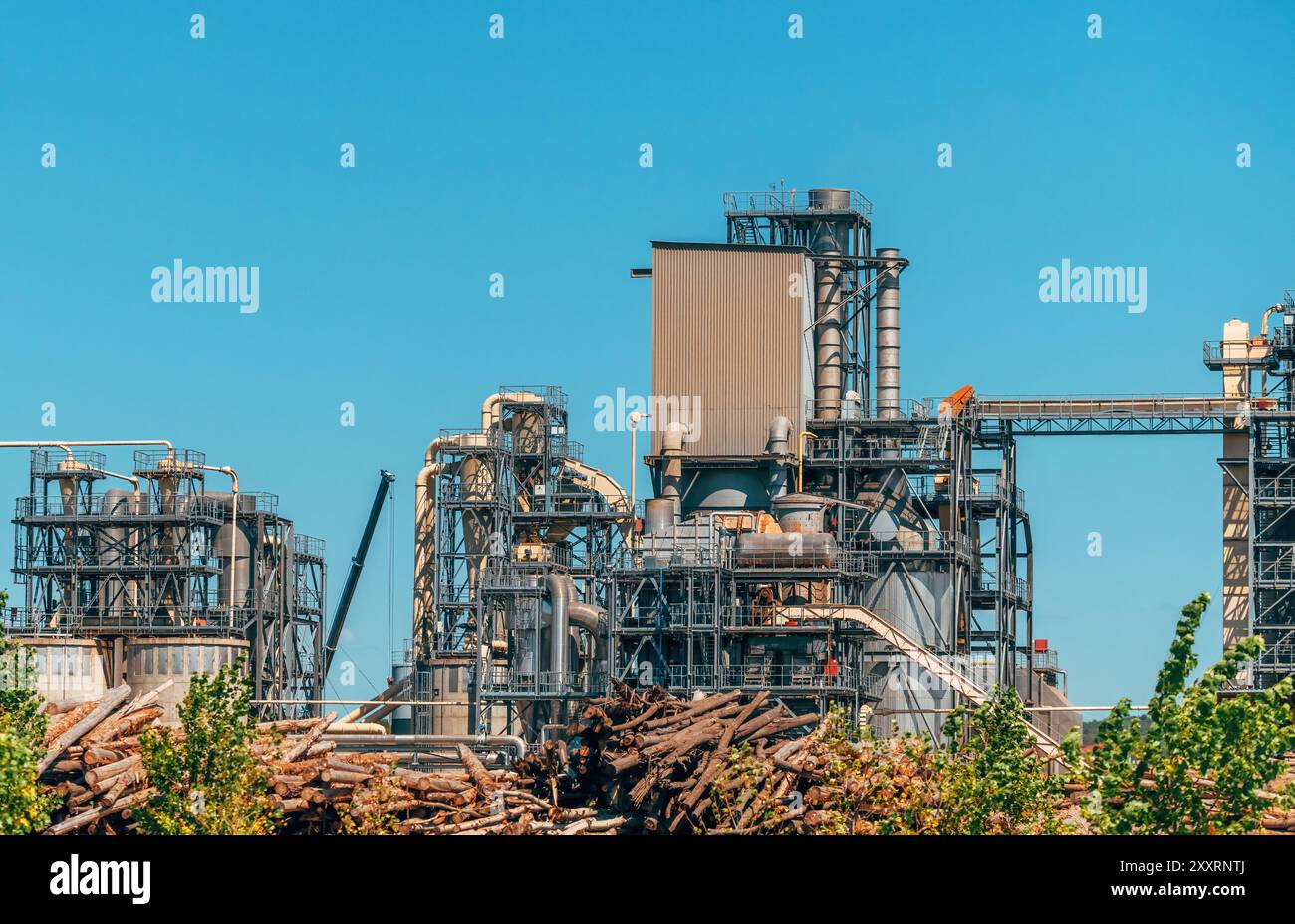 Außenbereich der Holzverarbeitungsanlage, Gebäude der Holzindustrie mit gestapelten Baumstämmen, selektiver Fokus Stockfoto