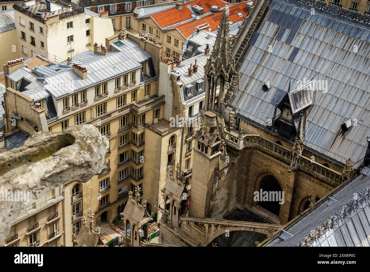 Dies sind Wohnblocks unter den Mauern der Notre Dame de Paris von den Höhen eines seiner Türme am 13. Mai 2013 in Paris, Frankreich. Stockfoto