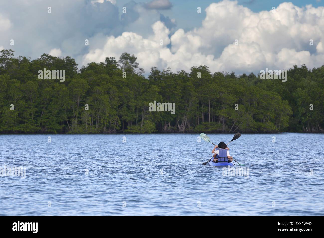 Touristen fahren mit dem Kajak mitten im Meer und es gibt Mangrovenwälder an der Küste, an klaren Tagen hat der Himmel weiße Wolken. Stockfoto