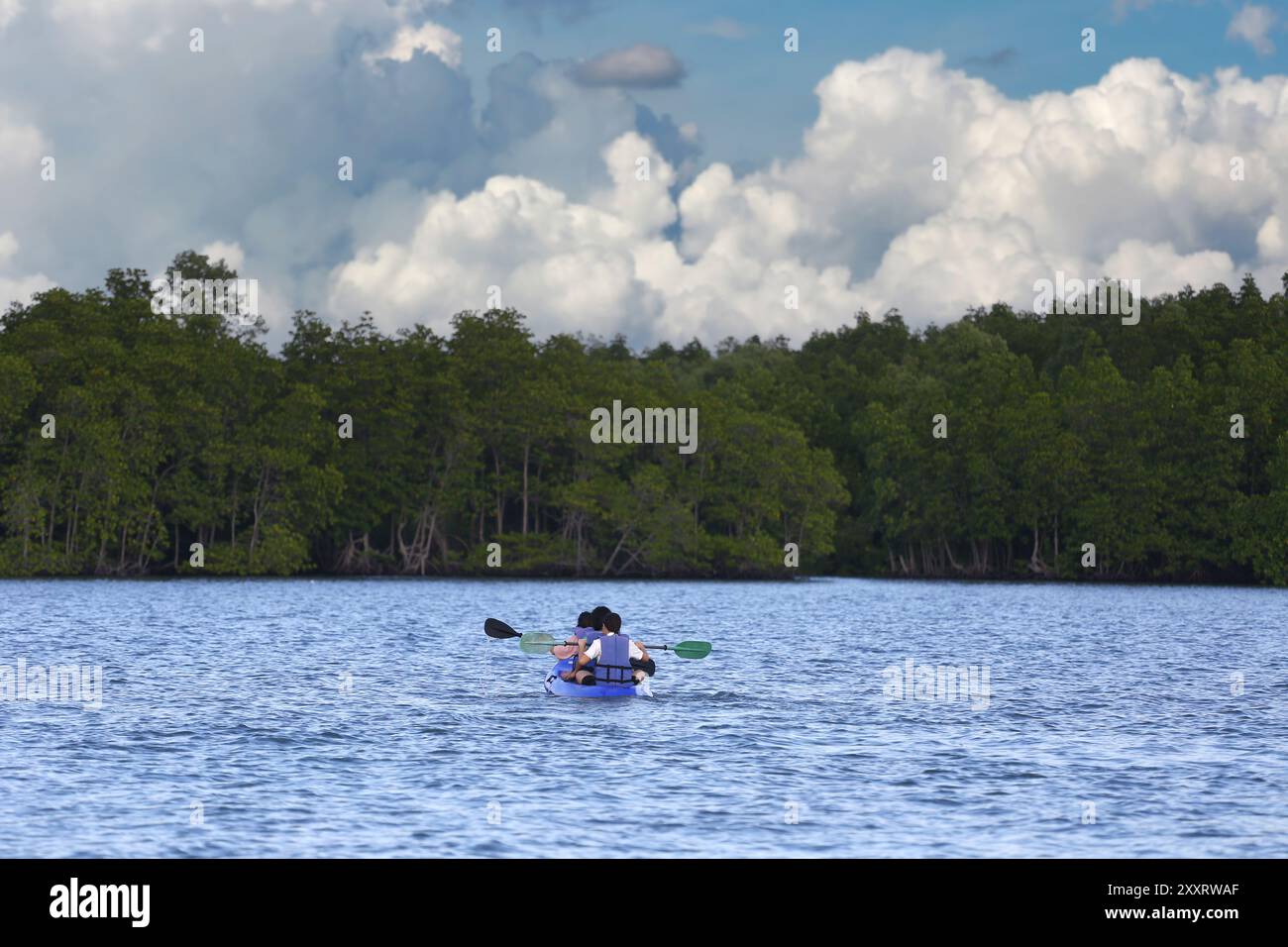 Touristen fahren mit dem Kajak mitten im Meer und es gibt Mangrovenwälder an der Küste, an klaren Tagen hat der Himmel weiße Wolken. Stockfoto