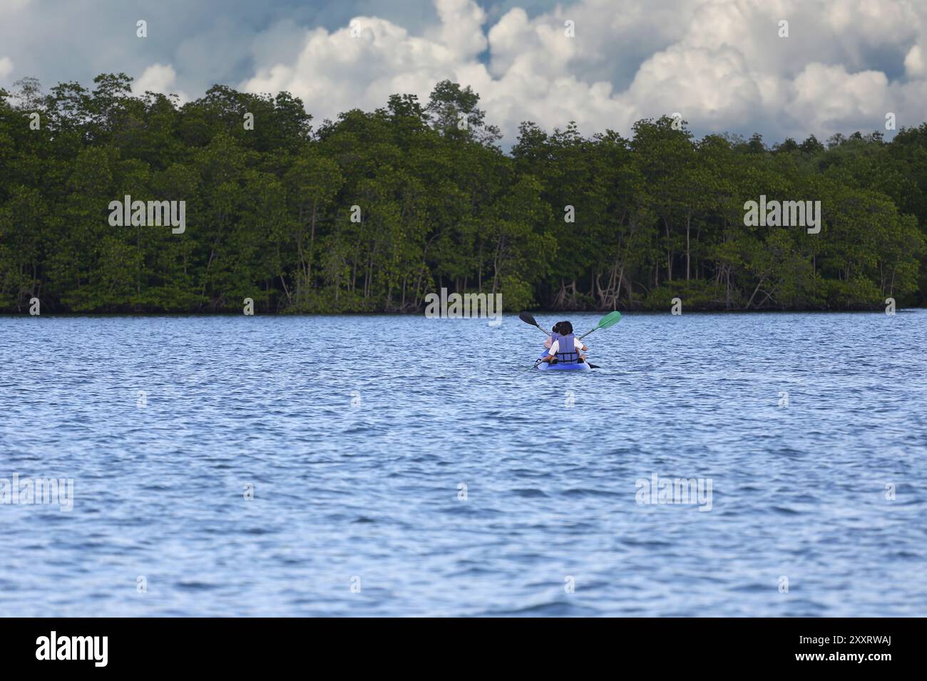 Touristen fahren mit dem Kajak mitten im Meer und es gibt Mangrovenwälder an der Küste, an klaren Tagen hat der Himmel weiße Wolken. Stockfoto