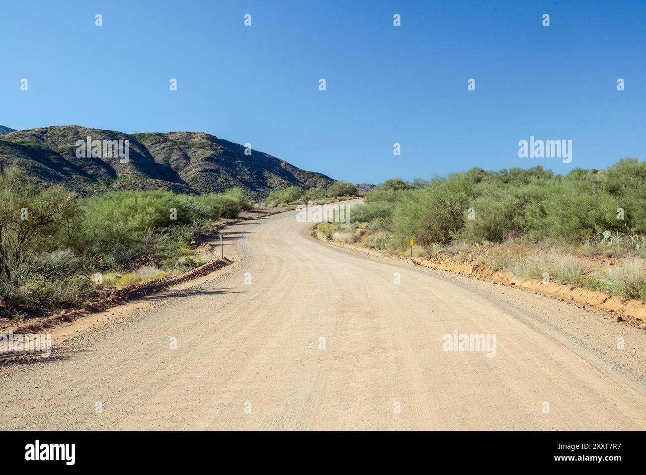 Eine einsame, kurvige Schotterstraße durch eine Scheuerbürste Stockfoto