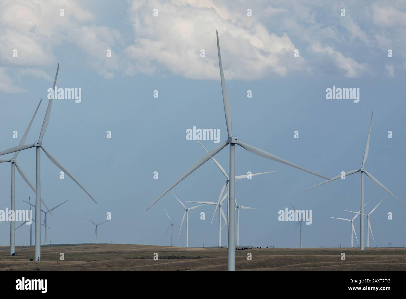 Zahlreiche Turbinen auf einem Windpark unter stimmungsvollem Himmel Stockfoto