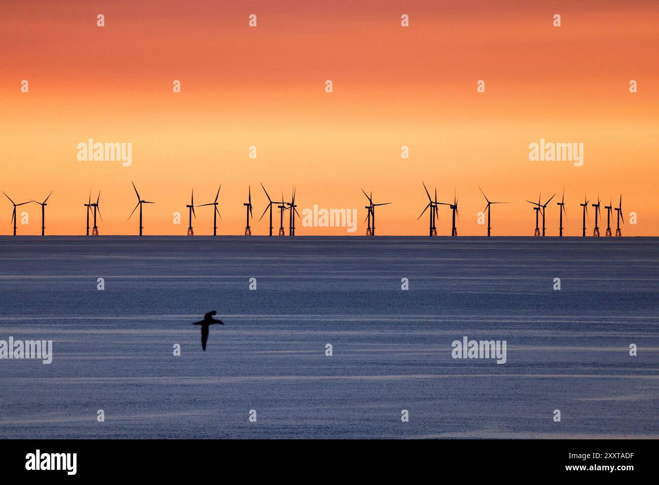 Offshore-Windpark im Sonnenuntergang, Deutschland, Schleswig-Holstein, Helgoland Stockfoto