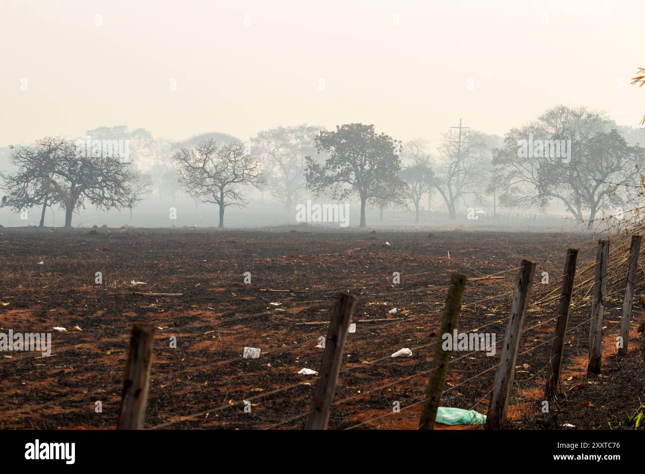 Goiania, Goias, Brasilien – 25. August 2024: Landschaft mit verbrannten Feldern, mit viel Rauch und einigen Bäumen. Stockfoto