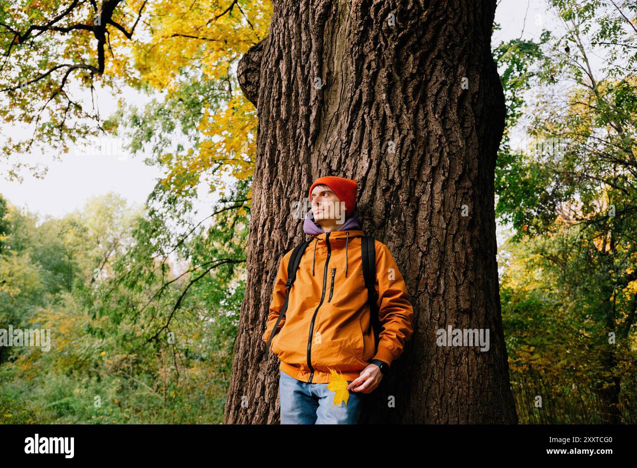 Eine Person mit orangefarbener Jacke und Mütze lehnt sich im Herbst an einen großen Baum im Wald und hält ein gelbes Blatt Stockfoto