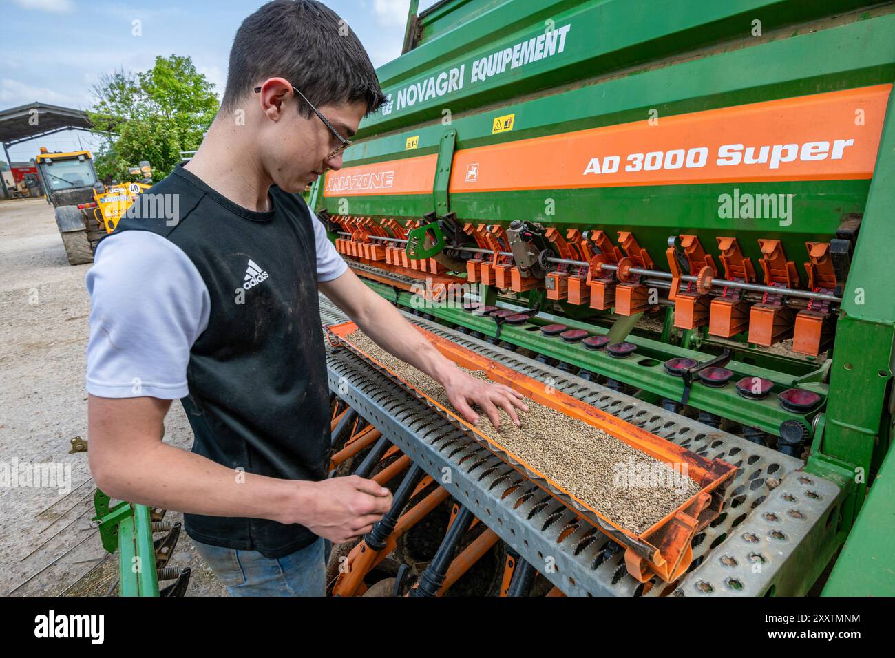 Sainte-Marguerite (Nordfrankreich): Landarbeiter, Auszubildender, die Hanfsamen beim Befüllen der Saatmaschine untersucht. HANF-it, Hanfsamen, Hanfanbau, ecolog Stockfoto