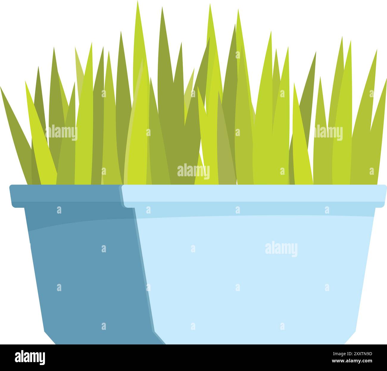 Grünes Gras wächst im blauen Pflanzgefäß und bringt die Natur ins Innere Stock Vektor