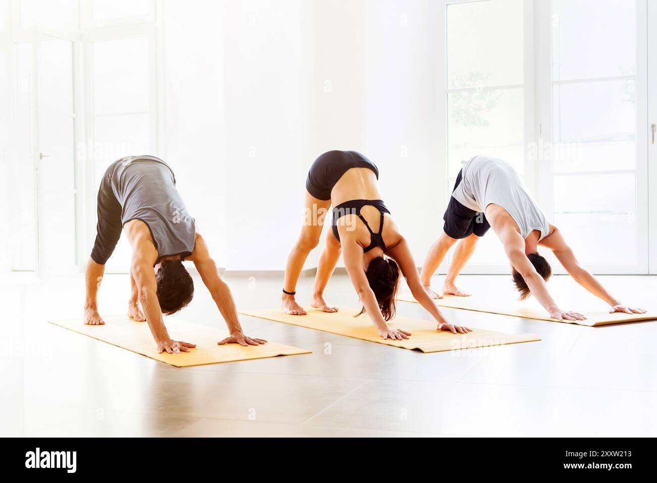 Yoga-Kurs tun nach unten Dog Pose oder Adho Mukha Shvanasana Übung, von vorne gegen die Fenster im geräumigen weißen Studio angesehen Stockfoto
