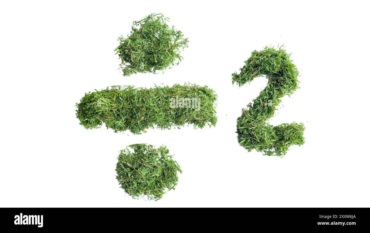 Teilungssymbol durch 2 aus Grasschnitt, sorgfältig geschnitten mit genauen Pfaden auf weißem Hintergrund, kombiniert natürliche Elemente mit Mathematik Stockfoto