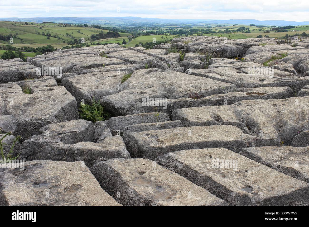 Kalksteinpflaster oberhalb von Malham Cove, Yorkshire, Großbritannien Stockfoto