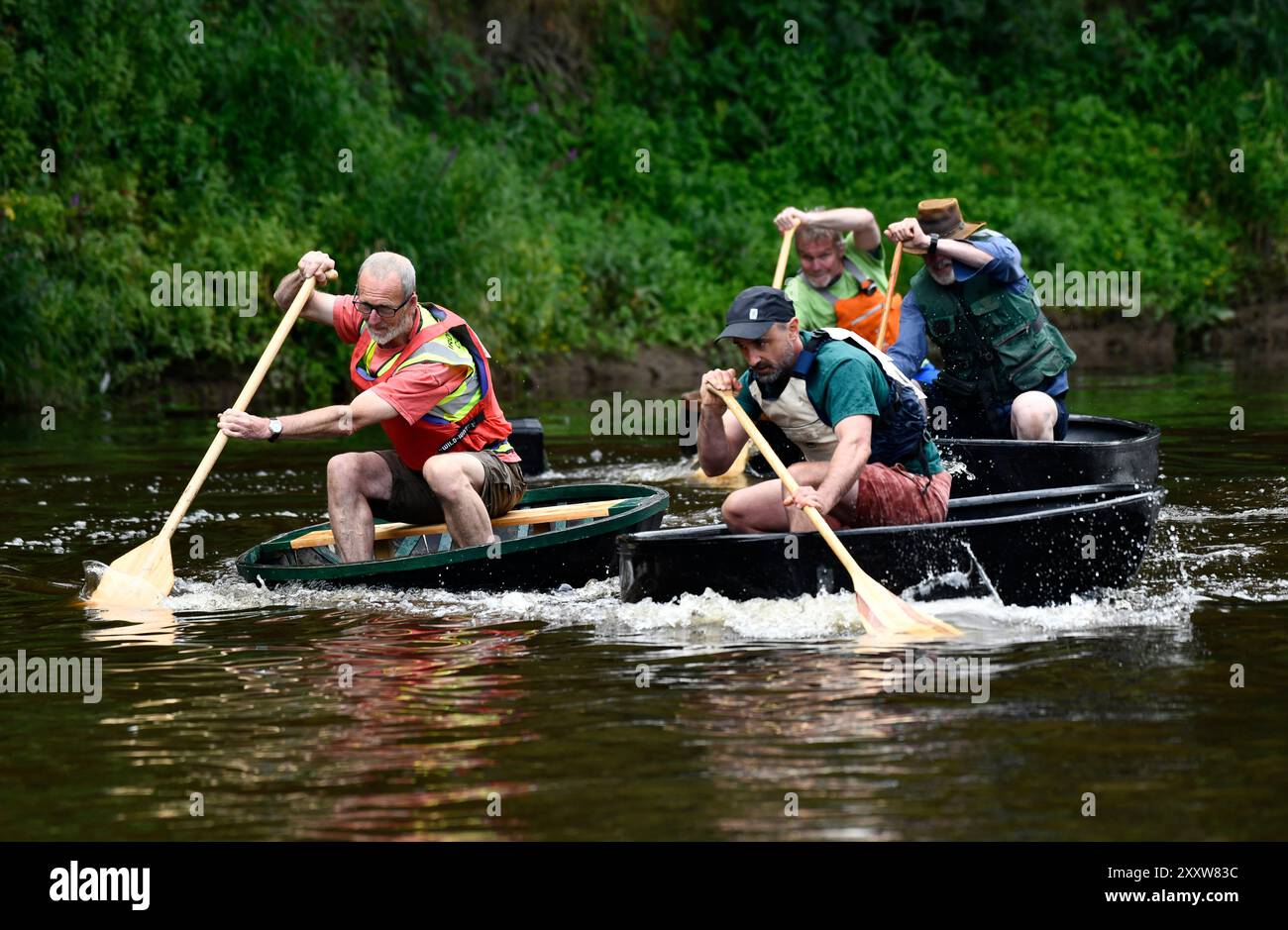 Ironbridge, Shropshire, Großbritannien. 26. August 2024 Ironbridge Coracle Regatta. Coracle Racer, die auf dem Fluss Severn planschen. Bild von David Bagnall. Quelle: David Bagnall/Alamy Live News Stockfoto