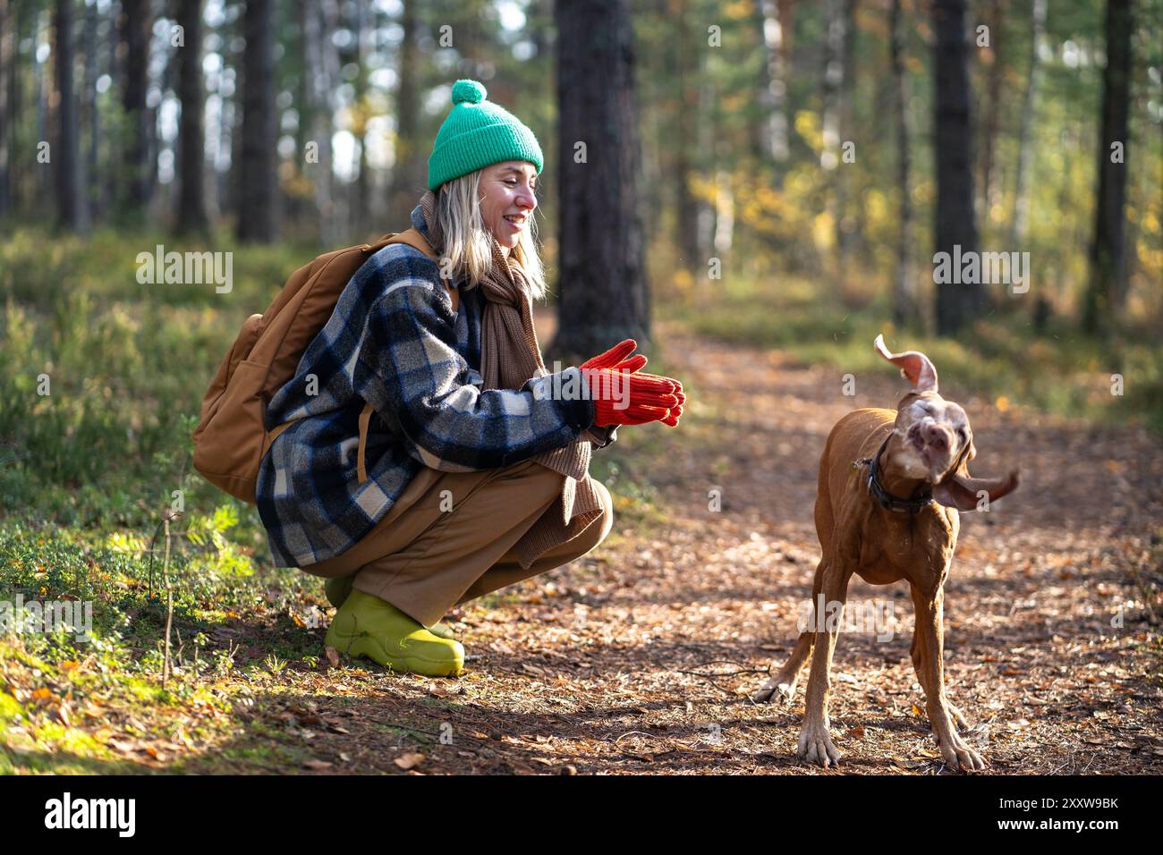 Fröhliche Frau, die mit dem lustigen Hund vizsla im Herbstwald spaziert, trägt warme Kleidung an sonnigen Tagen. Stockfoto