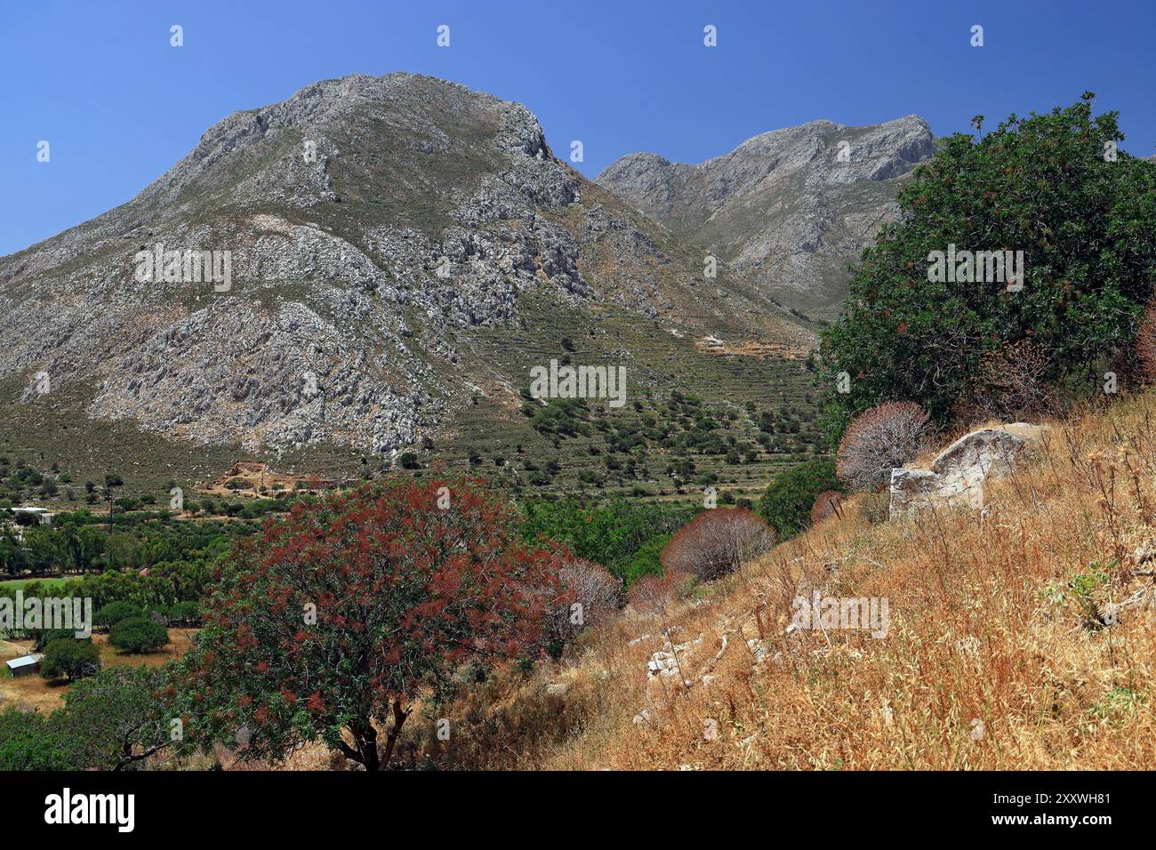 Blick auf die Berge vom Fußweg, der von Megalo Horio und Aghios Antonios, Tilos, den dodekanischen Inseln, der südlichen Ägäis, Griechenland führt. Stockfoto