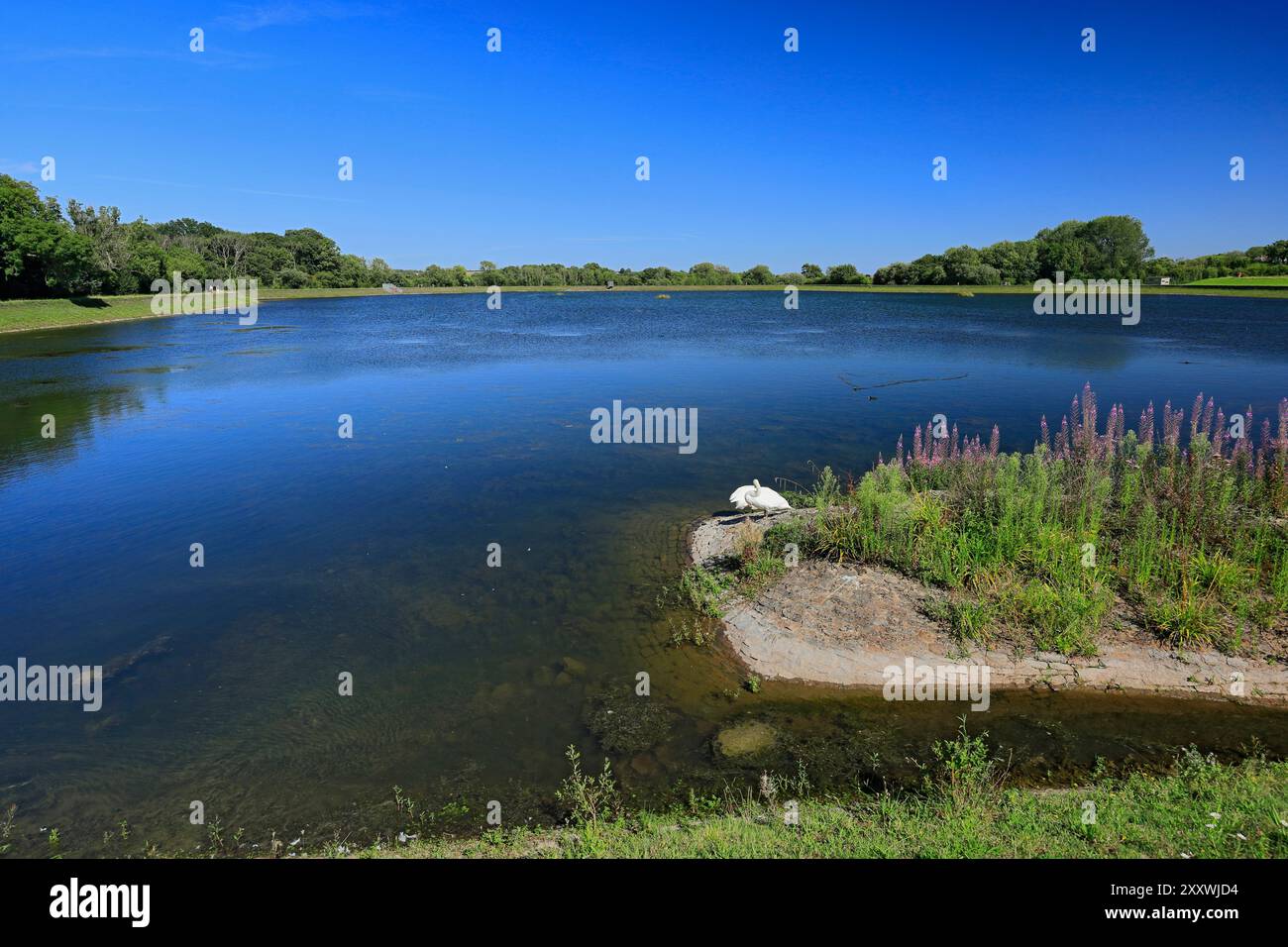 Lisvane Reservoir, Lisvane Und Llanishen Reservoir, Llanishen, Cardiff, Wales. Stockfoto