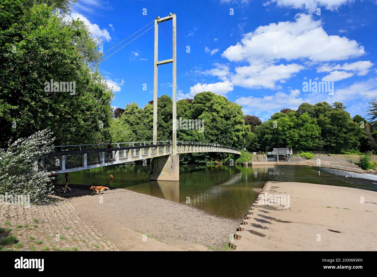 Blackweir Suspension Bridge und River Taff, Pontcanna Fields, Cardiff, Wales. Stockfoto