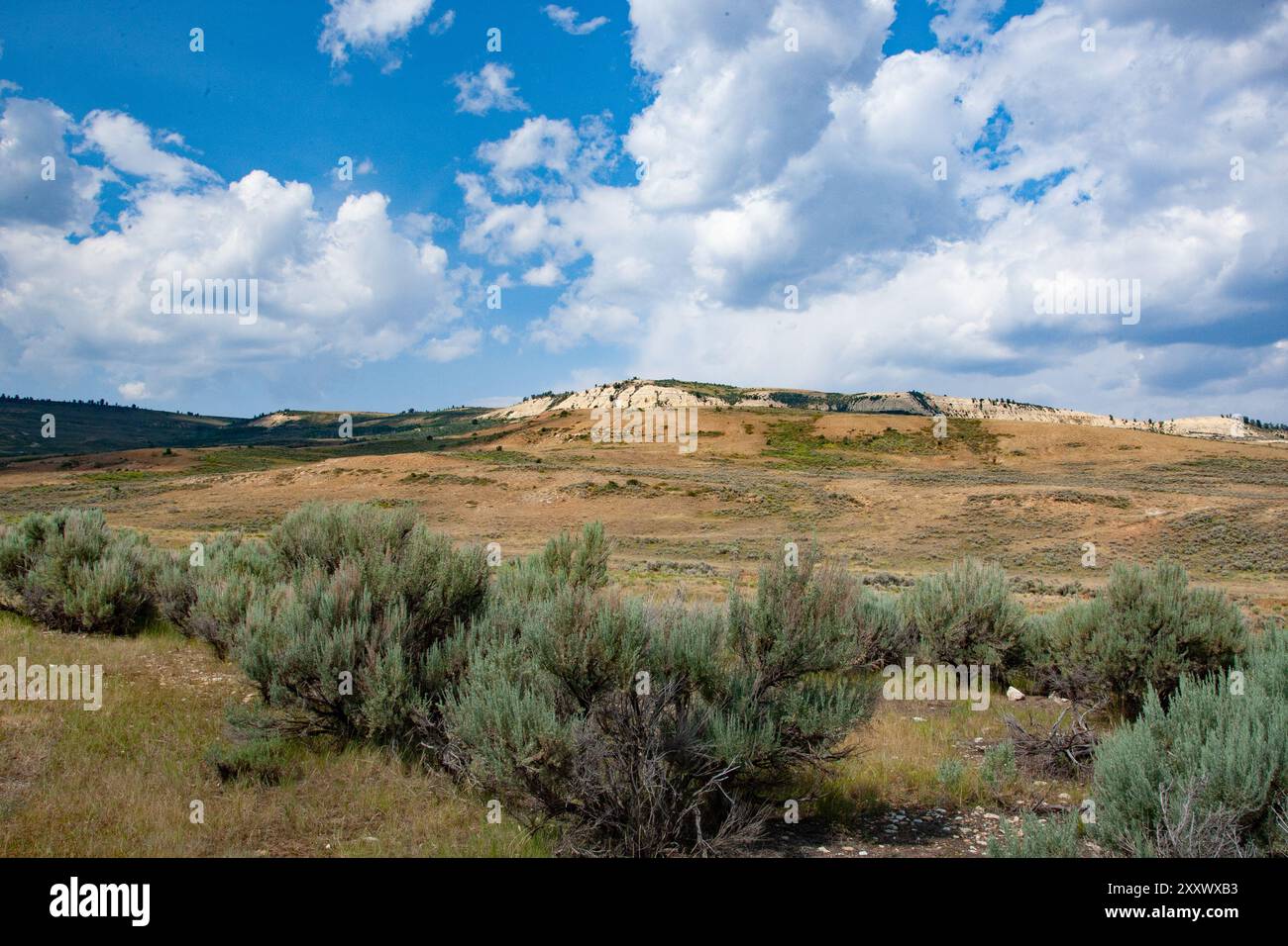 Dynamic Lake, eine atemberaubende Landschaft im Fossil Butte National Monument, Wyoming, zeigt die geologische Pracht und natürliche Schönheit des Nat Stockfoto