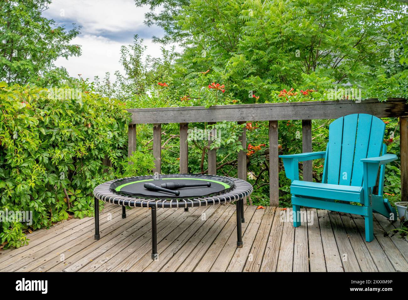 Mini-Trampolin mit zwei indischen Clubs zum Fitnesstraining und Rebounding auf einer Terrasse im Hinterhof, Sommerlandschaft Stockfoto