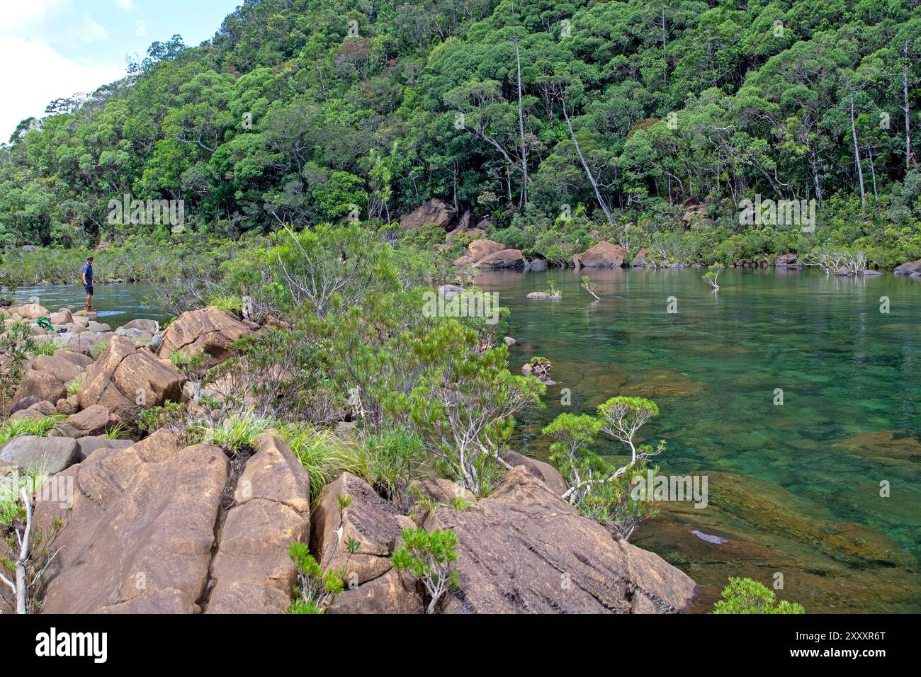 Ruhige Pools im Blue River, Blue River Provincial Park Stockfoto