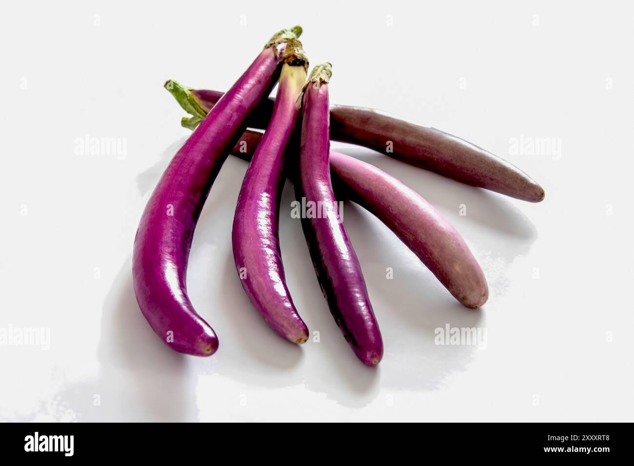 Stillleben von 5 Stück Asiatische Aubergine (Ping Tung Long Eggplant) aus Taiwan Stockfoto