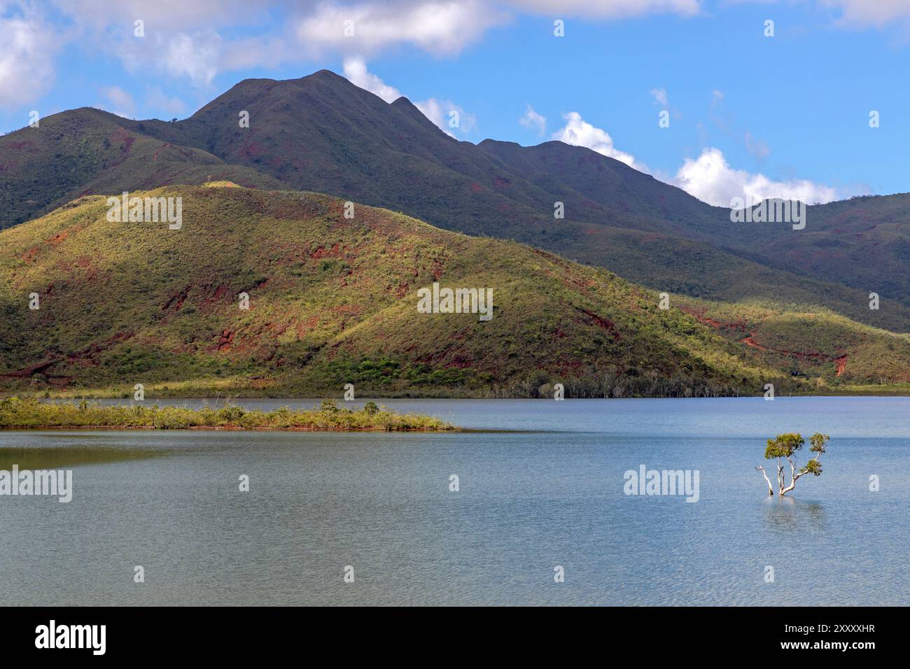 Yate Lake, Blue River Provincial Park Stockfoto