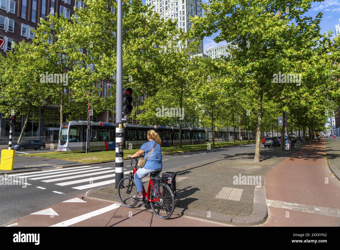 Städtische Begrünung, innerstädtische Straße Laan op Zuid, im Rotterdamer Stadtteil Feijenoord, 4 Fahrspuren, 2 Straßenbahnschienen, Radwege auf beiden Seiten, Gehsteige und p Stockfoto