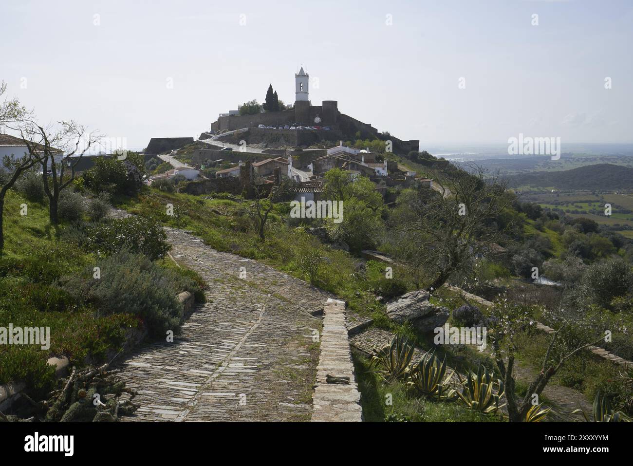 Monsaraz Dorfstraße mit weißen Häusern in Alentejo, Portugal, Europa Stockfoto