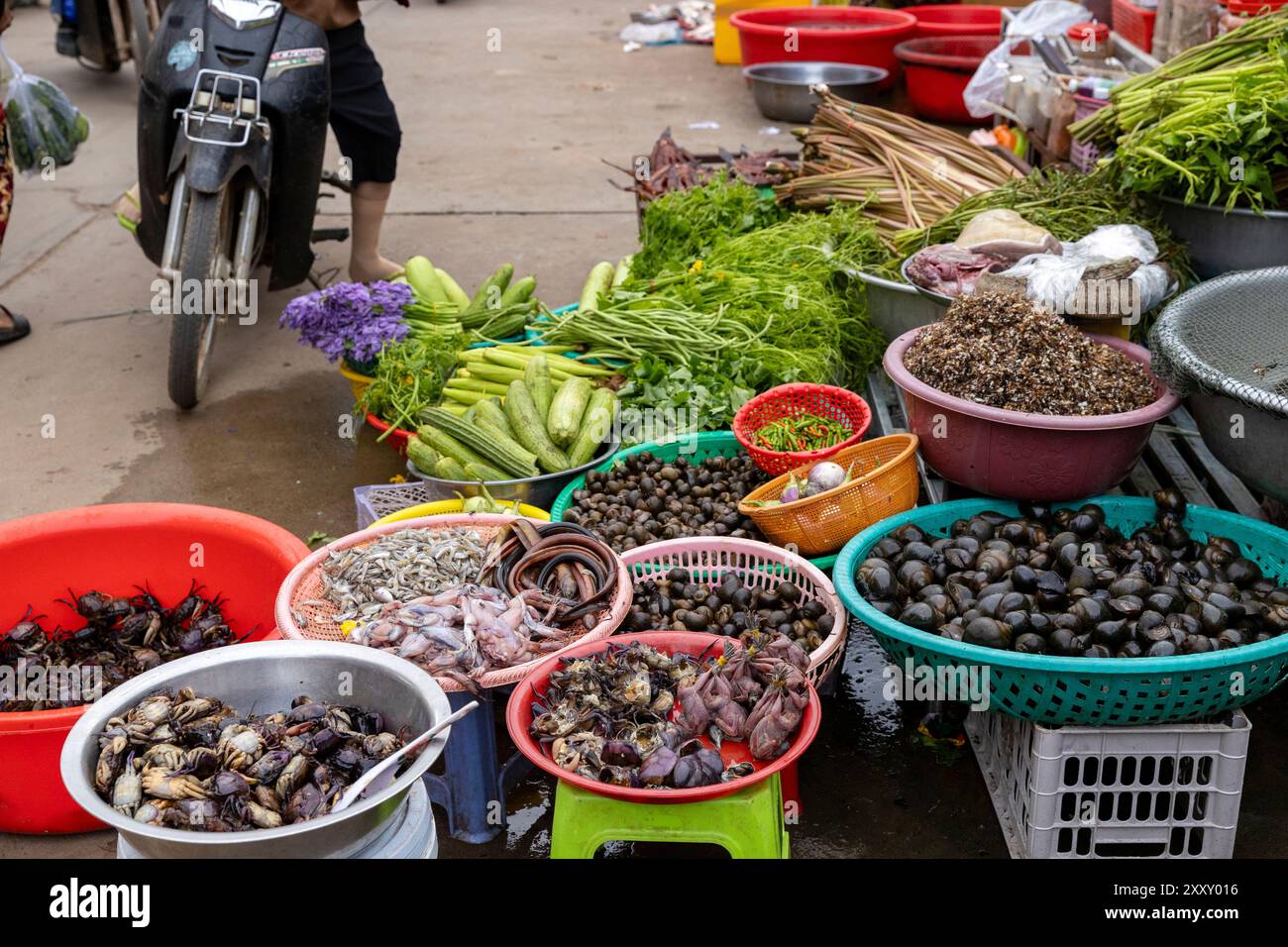 Das tägliche Leben auf dem Markt von Kratié, Provinz Kratié, Kambodscha. Süßwasserschalentiere, Aale und frisches Gemüse zum Verkauf. Stockfoto