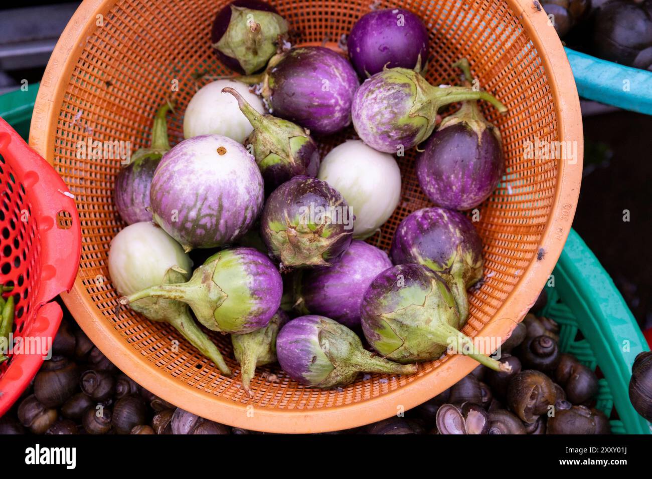 Kleine runde weiß-violette Auberginen zum Verkauf auf dem Markt Kratié, Provinz Kratié, Kambodscha. Stockfoto