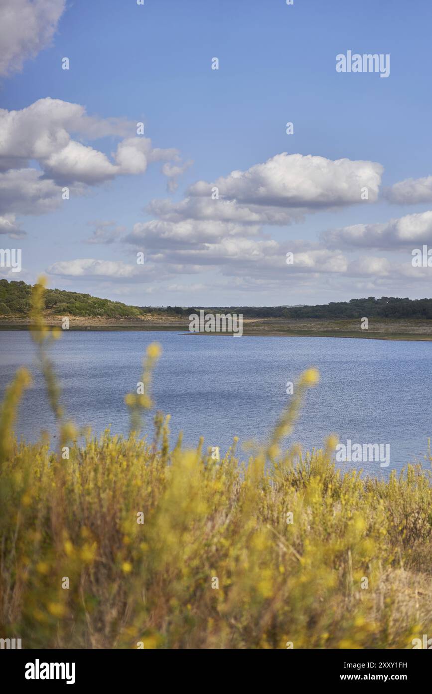 Naturlandschaft des Minutos-Stausees mit gelben Blumen an einem sonnigen Tag in Alentejo, Portugal, Europa Stockfoto