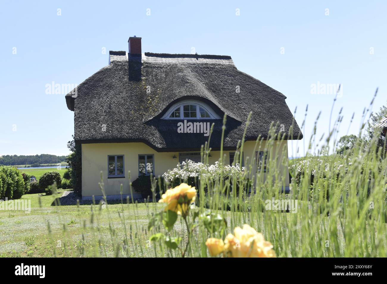Malerische Darstellung eines Strohhauses im ländlichen Stil, Rügen (Gross Zicker) Stockfoto