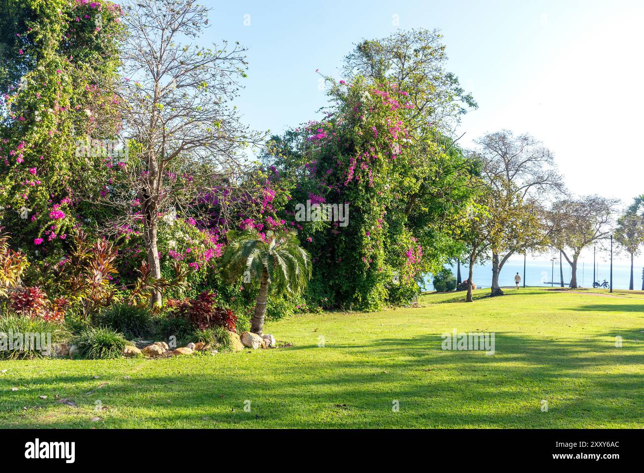 Bicenntenial Park, Esplanade, Stadt Darwin, Northern Territory, Australien Stockfoto