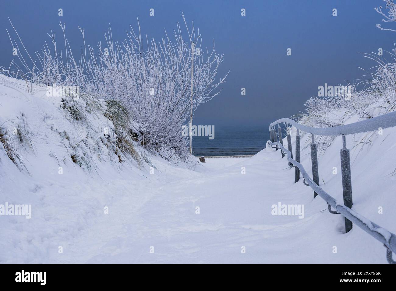 Winter an der Ostseeküste Stockfoto