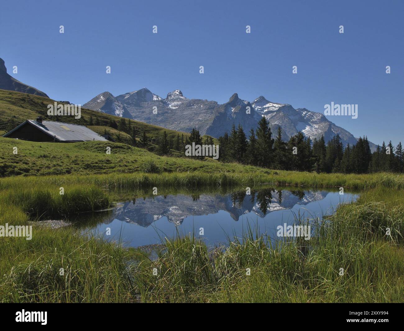 Kleiner See Und Gebirgszug Im Saanenland Stockfoto