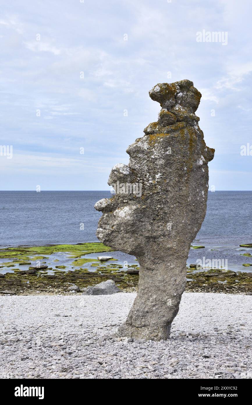 Rauks in Langhammars in Gotland, Schweden. Küste mit rauen Steinen bei Langhammars auf der Insel Färöer auf Gotland Stockfoto