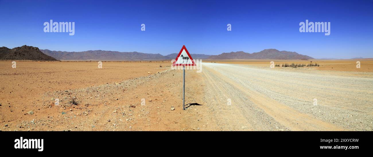 Schild Zebras überqueren Sie einen Schotterweg im Namibrand Nature Reserve in Namibia Stockfoto