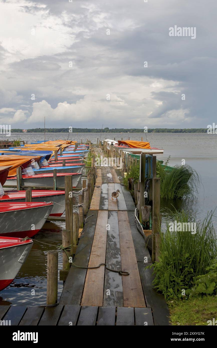 Farbenfrohe Boote an einem Holzsteg, unter bewölktem Himmel, Bad Zwischenahn, Zwischenahner Meer, Ammerland, Niedersachsen, Deutschland, Europa Stockfoto