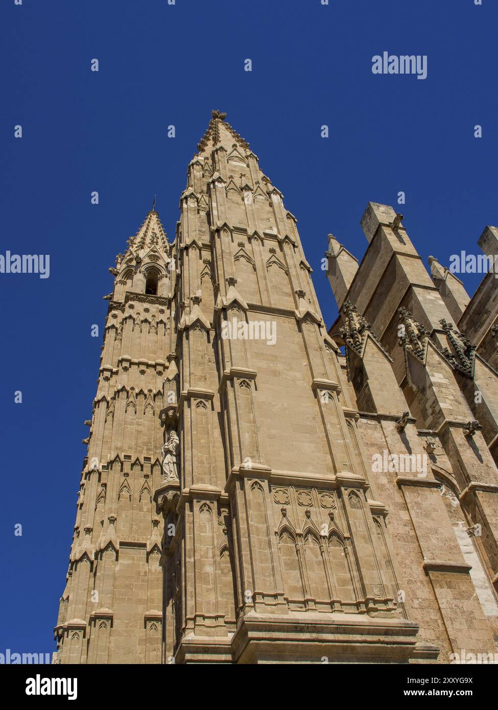 Gotische Kathedrale mit hohen, detaillierten Türmen, die sich vor einem klaren blauen Himmel abzeichnen, palma de mallorca, mallorca, balearen, spanien Stockfoto