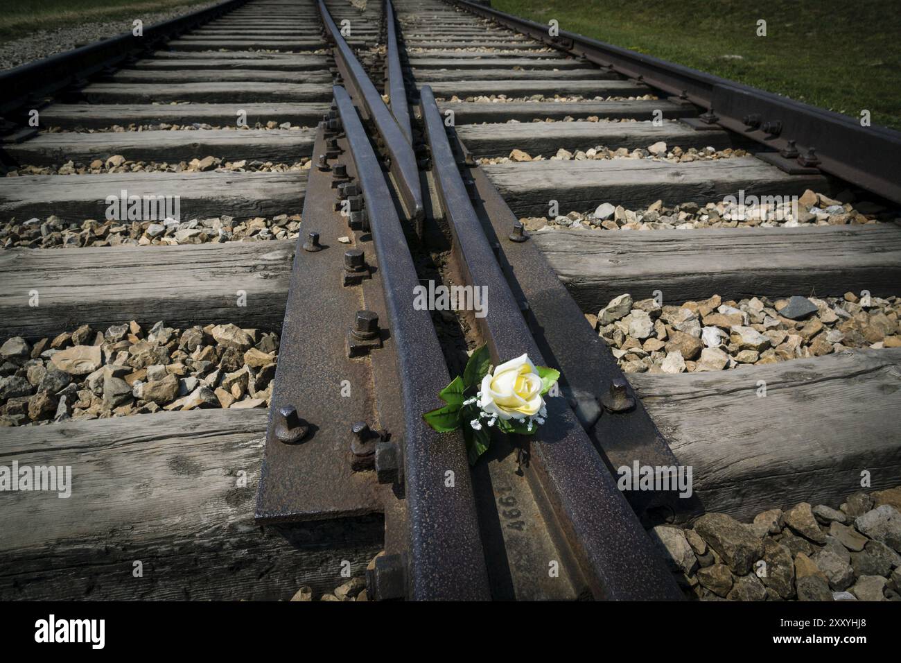 Blumen auf den Gleisen, Konzentrationslager Auschwitz-Birkenau, Staatsmuseum, Oswiecim, Polen, osteuropa, Europa Stockfoto