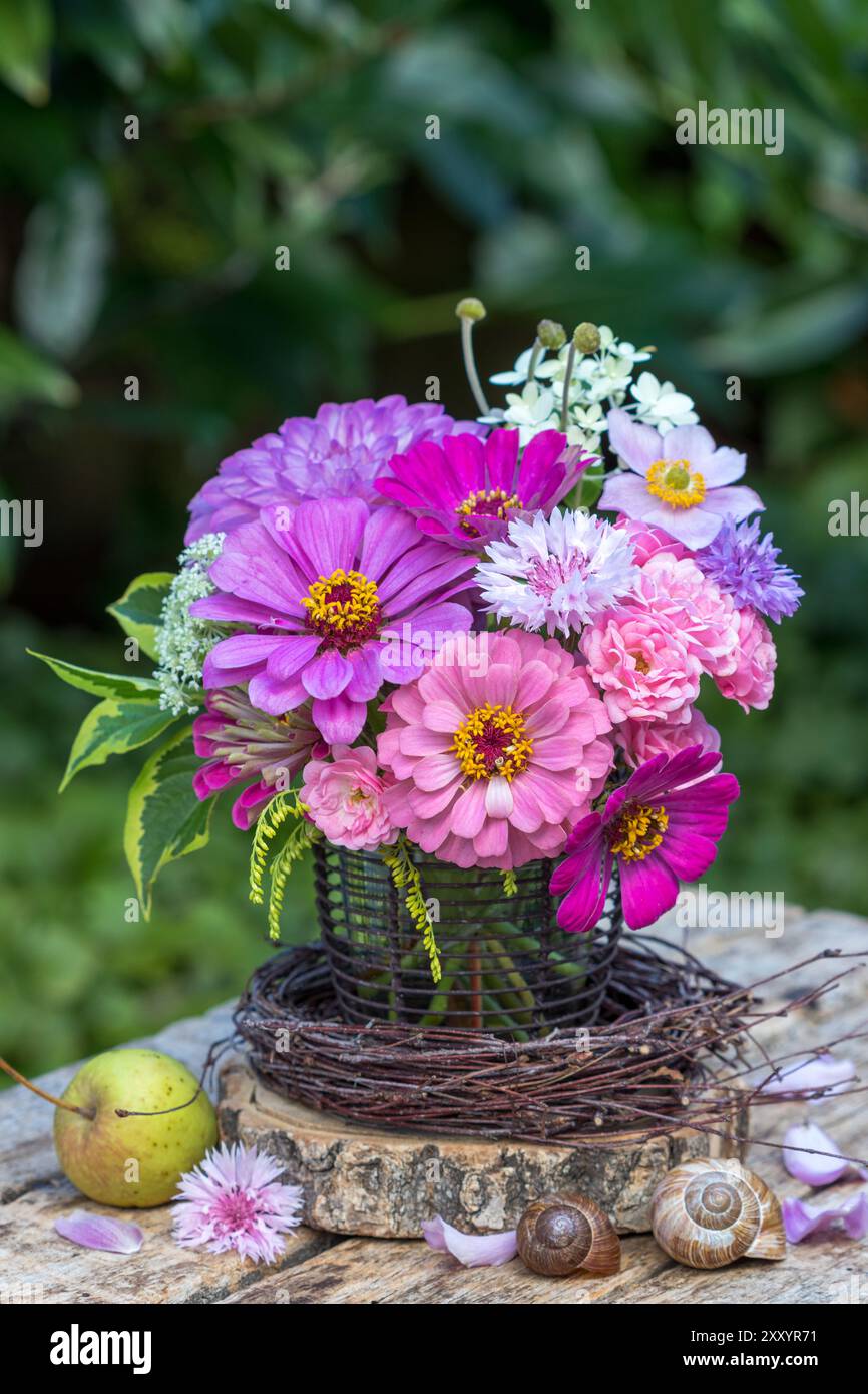 Romantischer Blumenstrauß aus rosa und violetten Zinnienblüten, Nelken, Rosen und japanischer Anemone im Garten Stockfoto