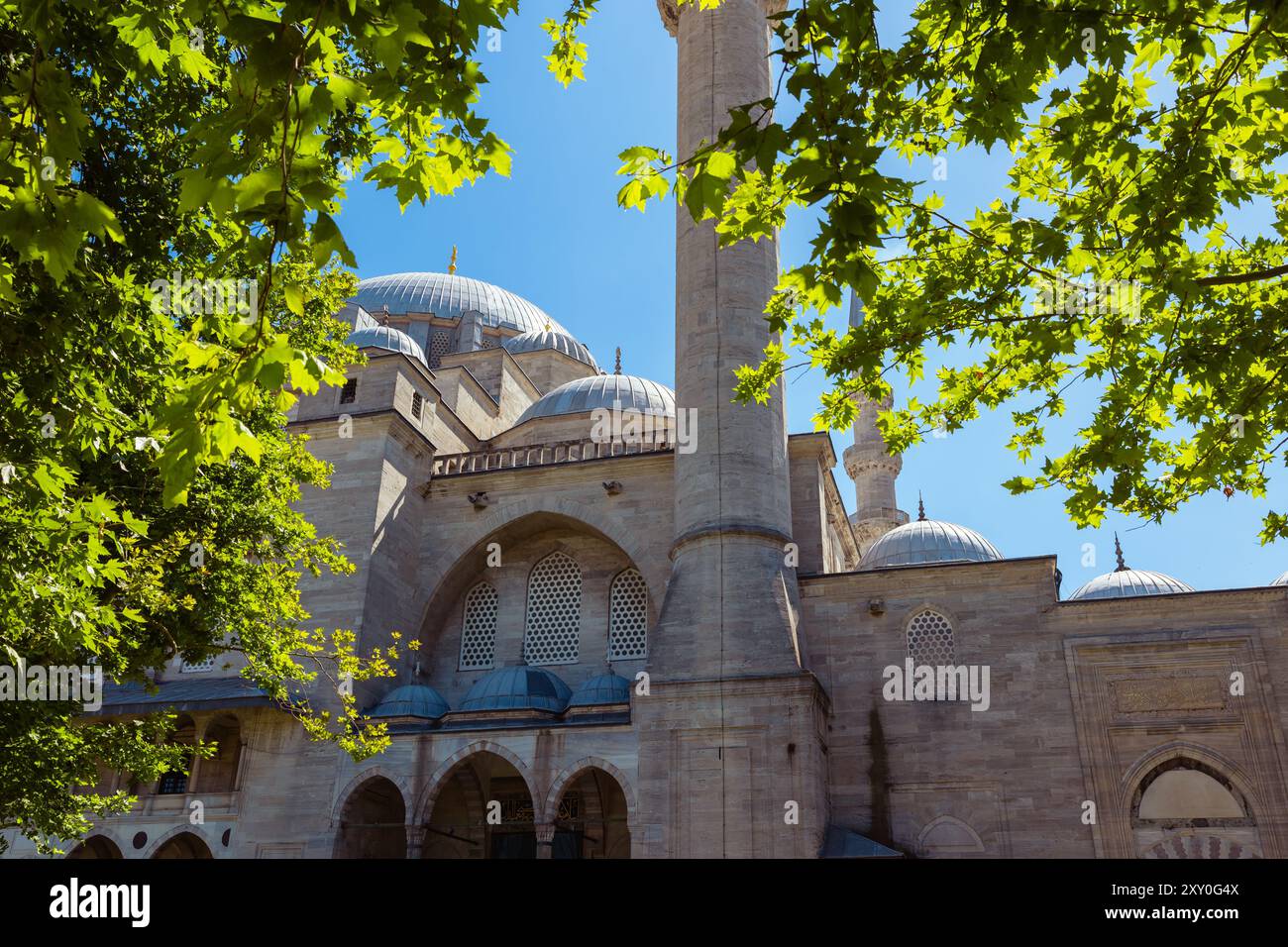 Blick auf die Suleymaniye-Moschee mit Bäumen. Islamisches Konzeptfoto. Besuchen Sie Istanbul Hintergrundfoto. Stockfoto